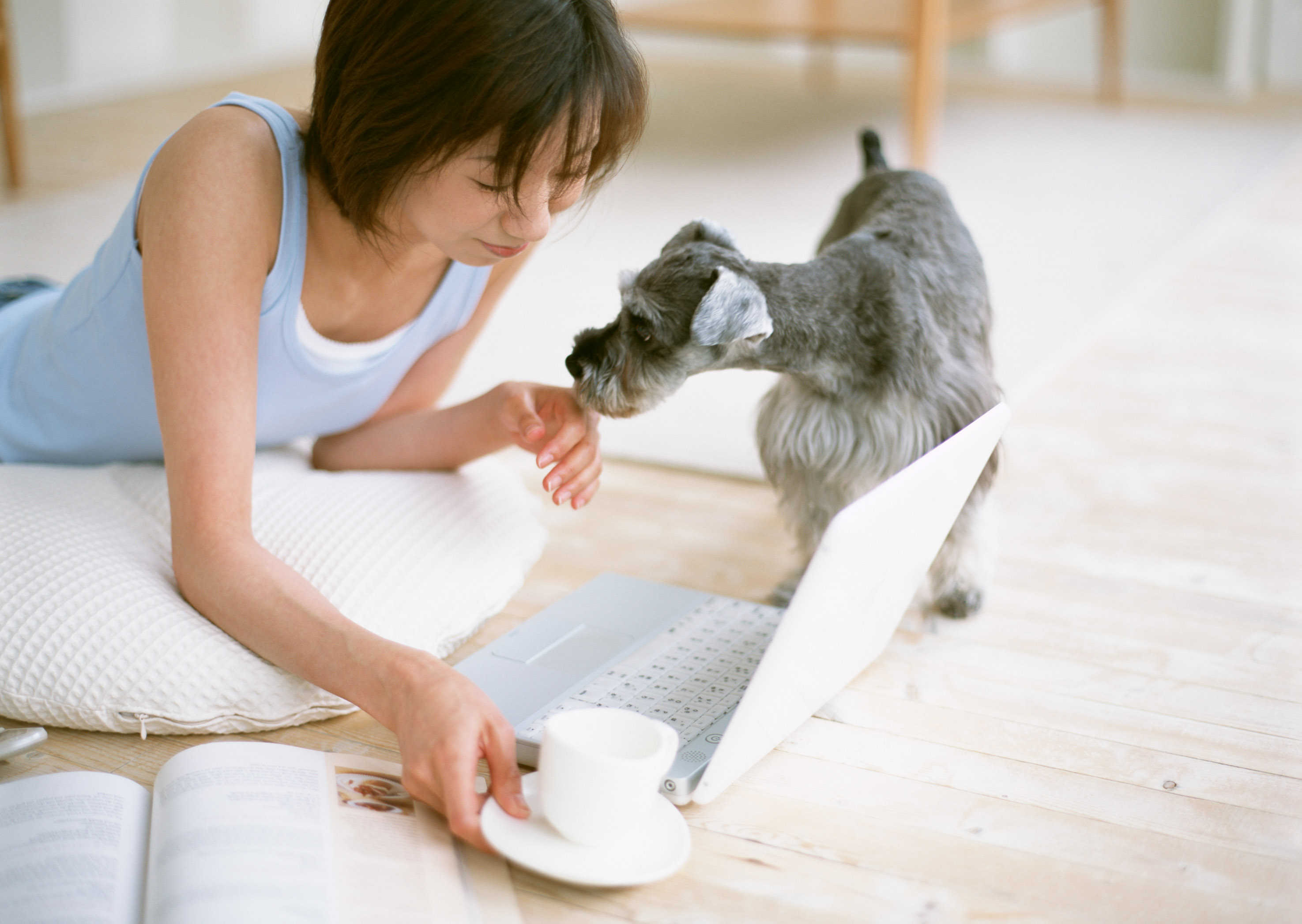 家族として引退犬を迎えたい方へ